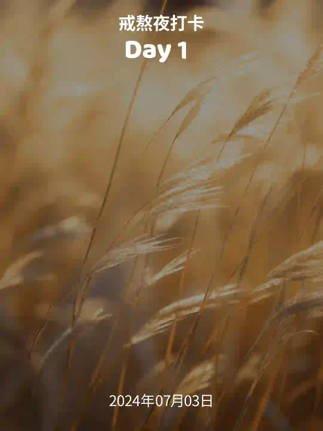 戒熬夜打卡 | 第 1 天