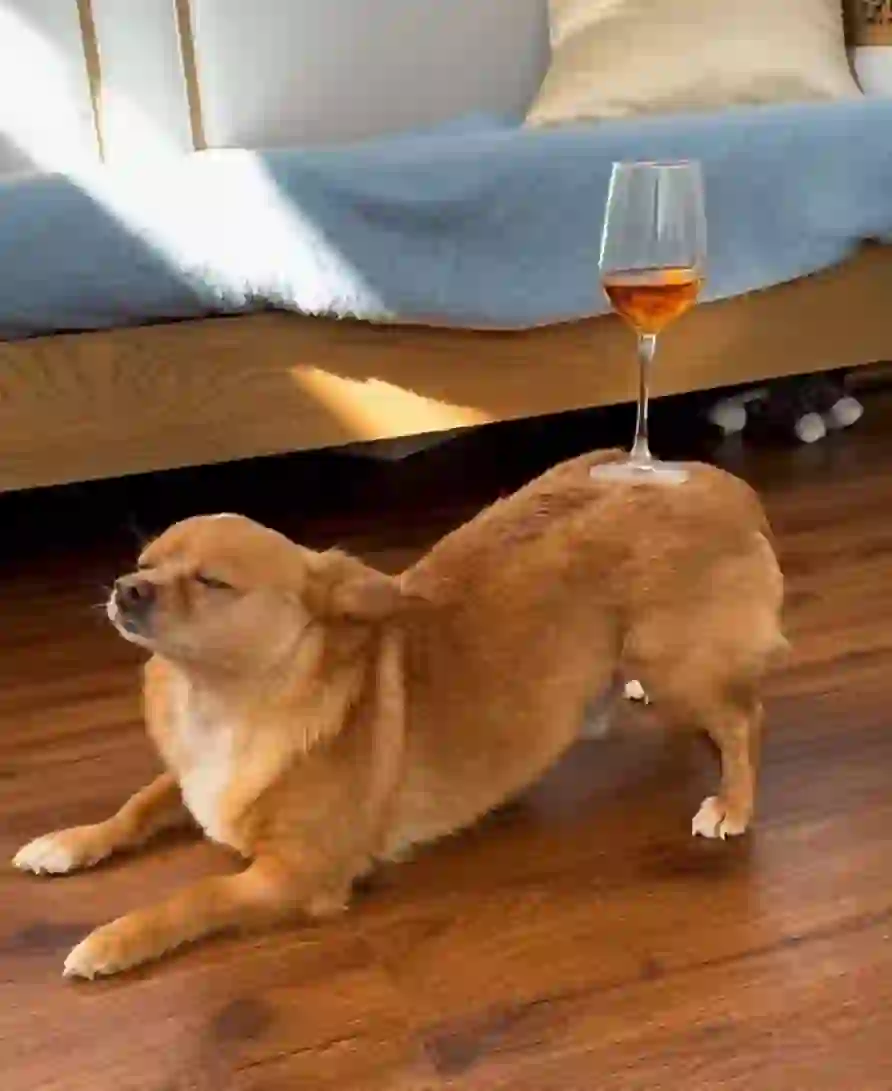 💩避雷广州ys传媒公司！