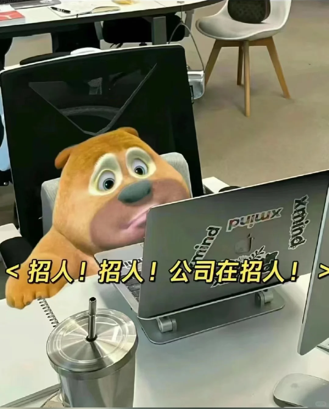 周末也要打工