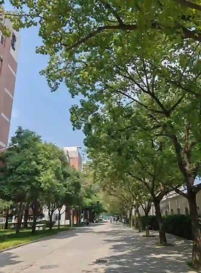 研三无缝衔接大专老师，再也不想考公了