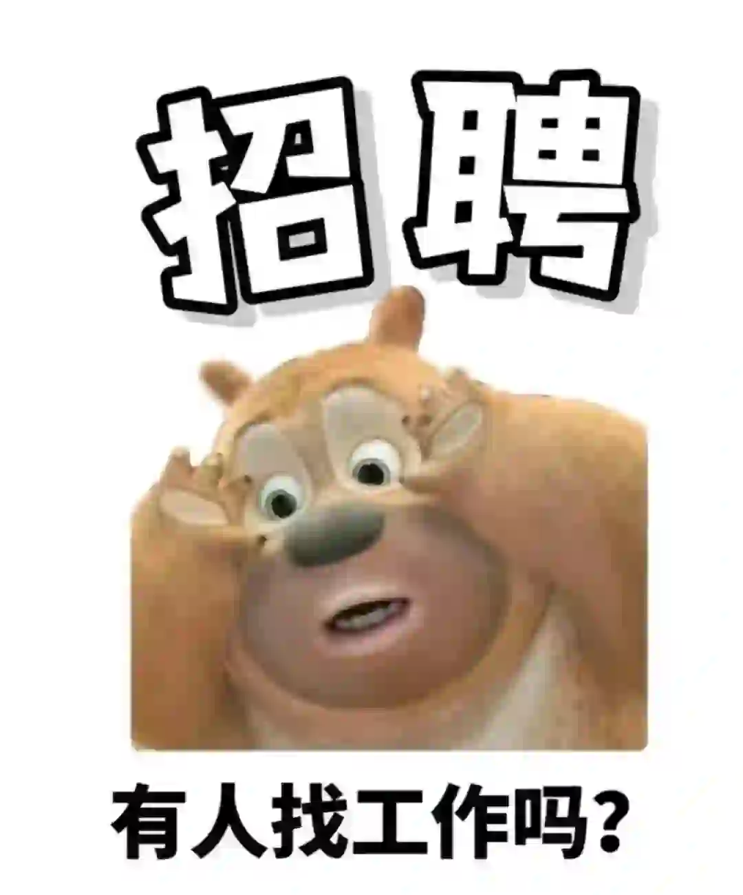 我看看是谁还没有找到工作的 速来！