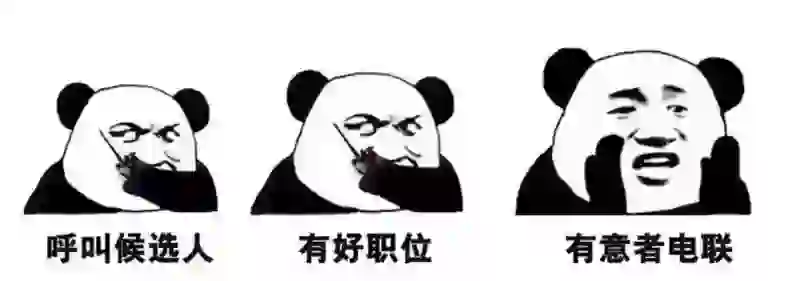 公司招新岗位啦～