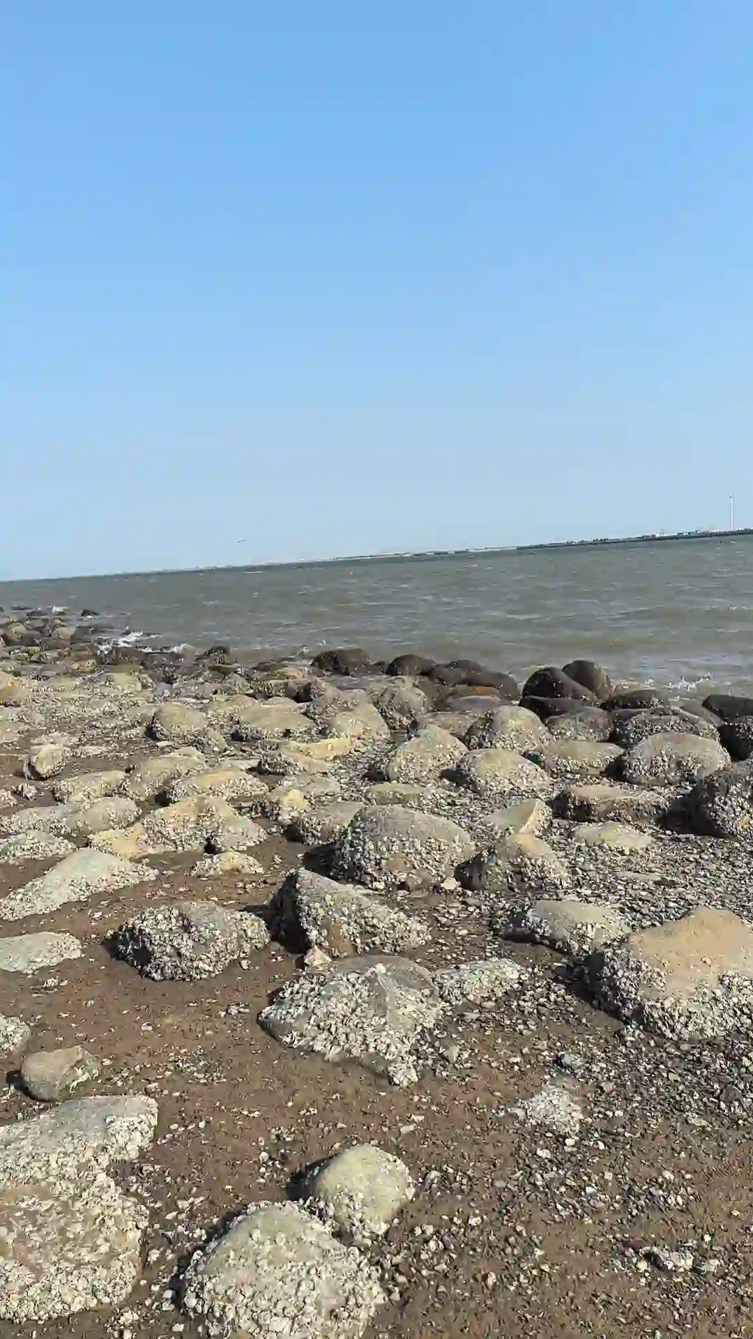 招聘啦 外贸公司