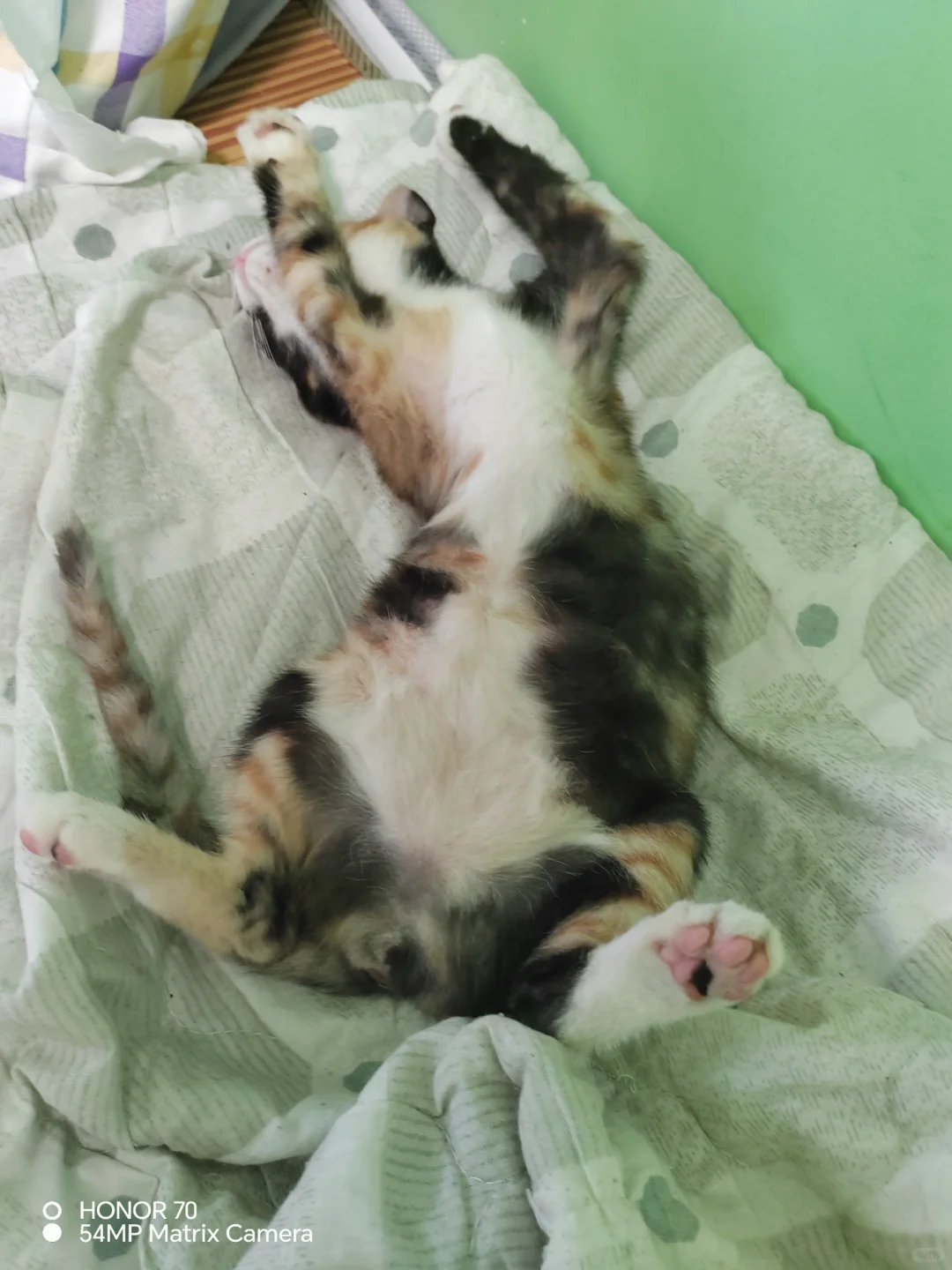 #自媒体运营 #佛山顺德自媒体 佛山顺德有找