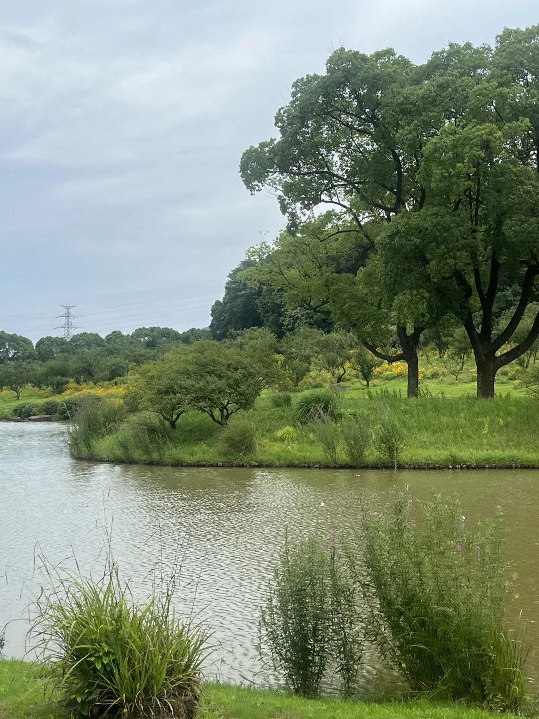 招聘｜社恐人事绝佳