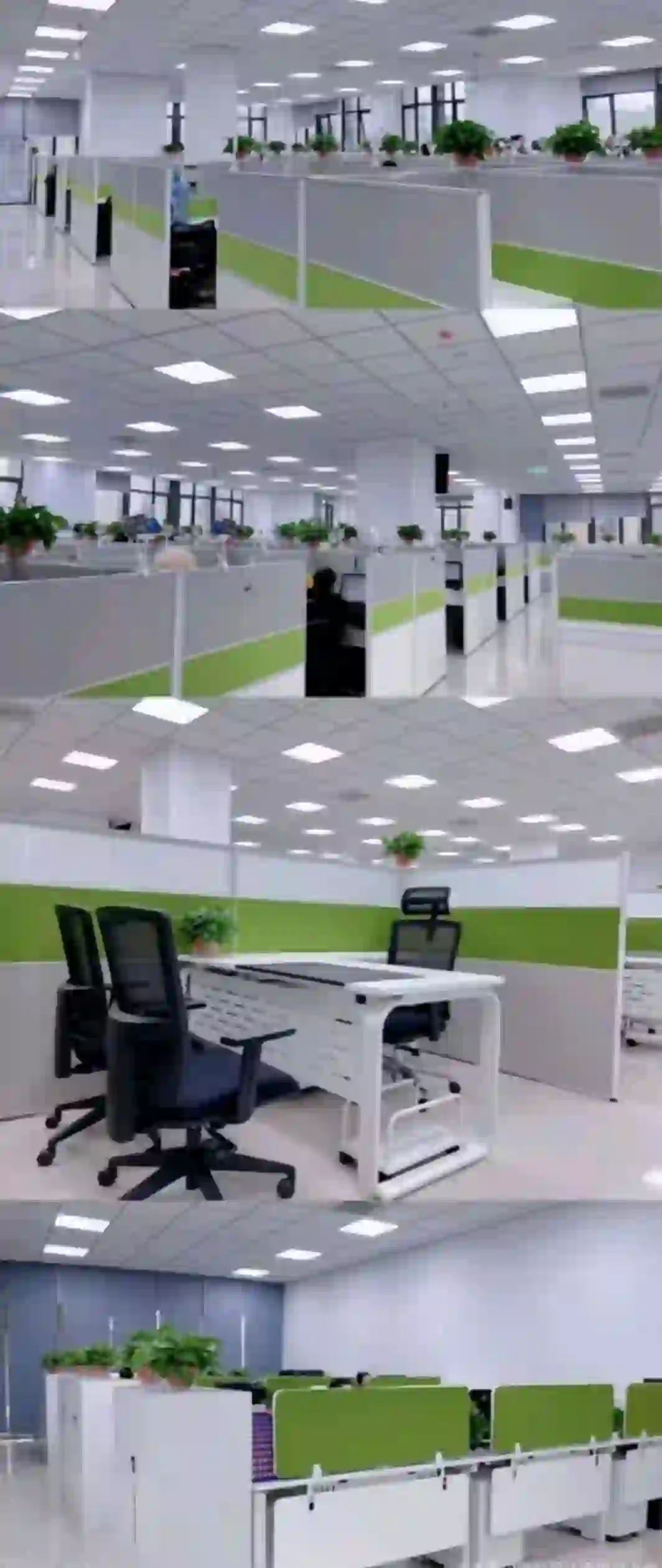 长沙开福区招人!双休不加班!!