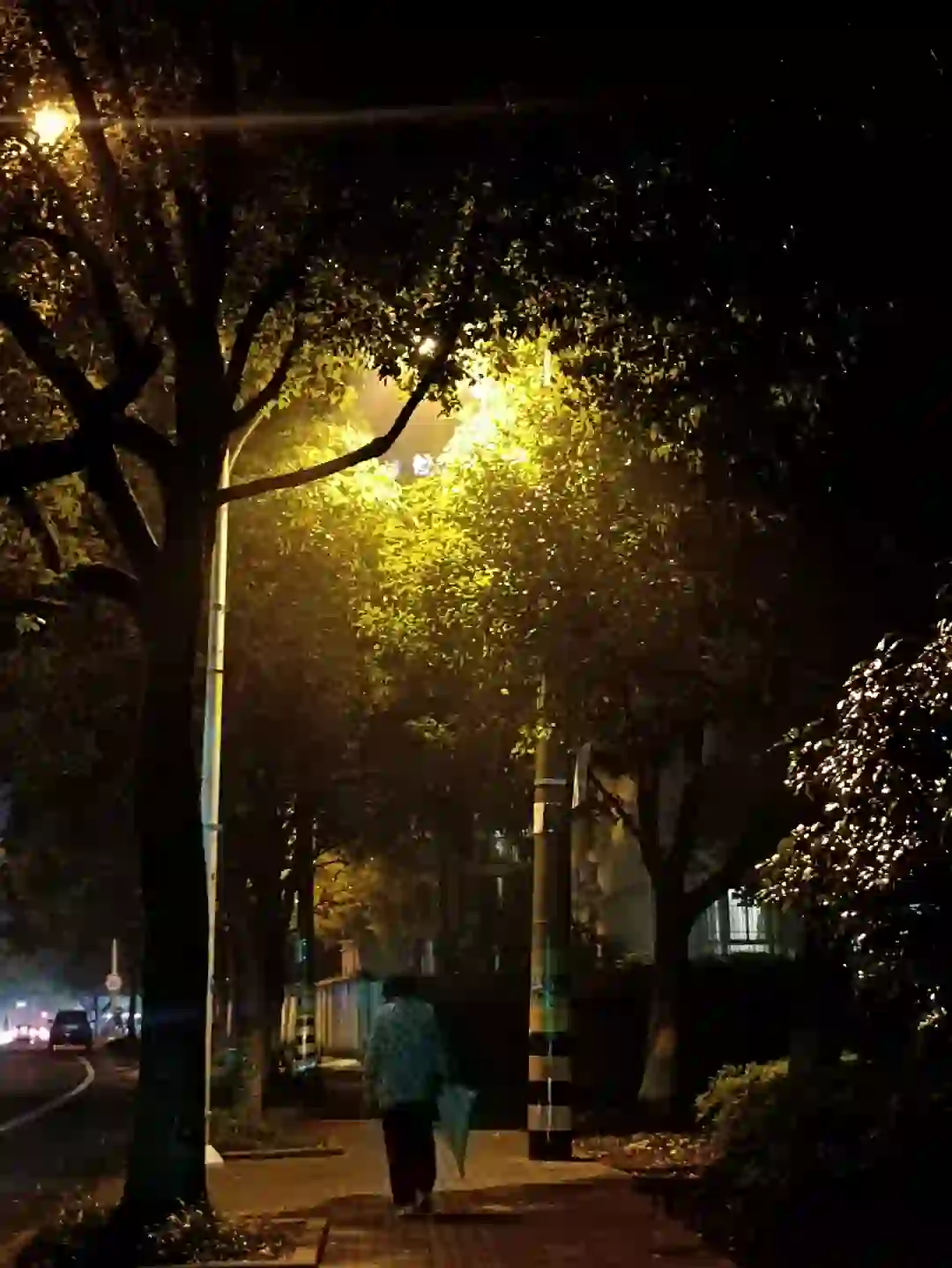 姐妹们有找人事工作的吗