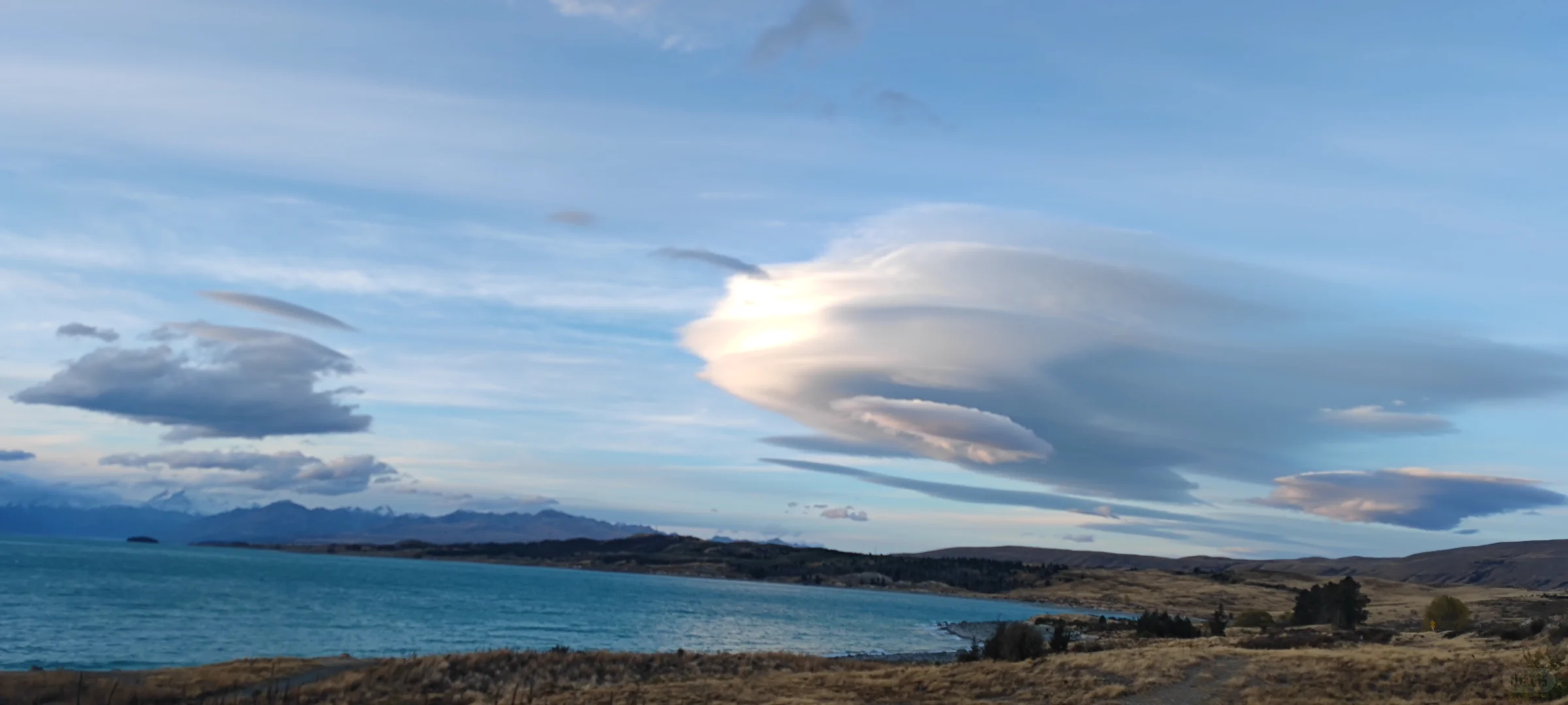 新西兰招聘摄影师