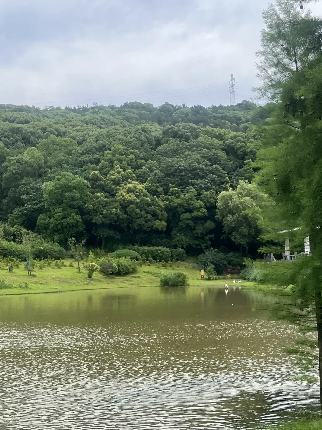 招聘｜社恐人事绝佳