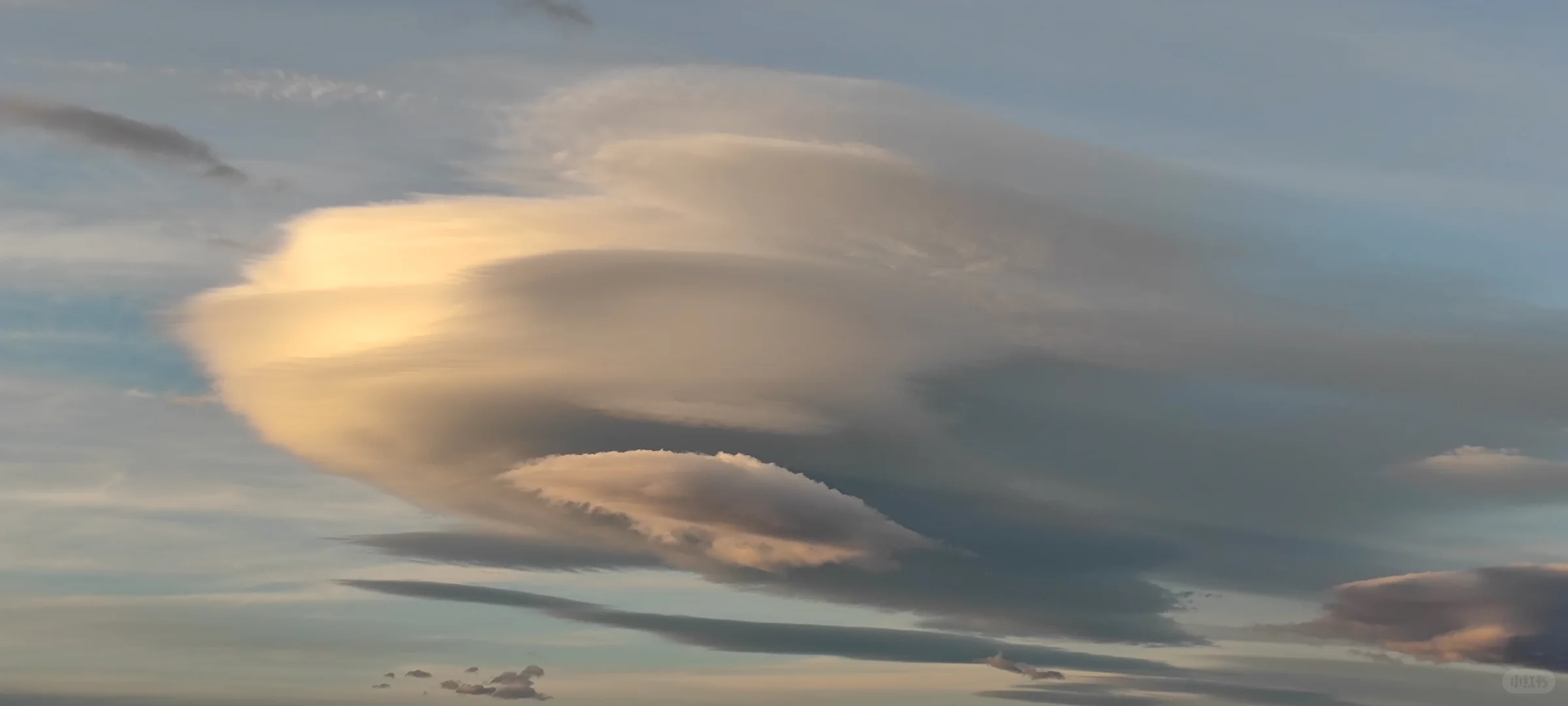 新西兰招聘摄影师