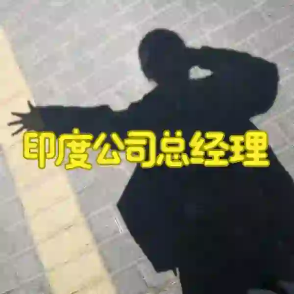 猎头岗位：印度公司总经理