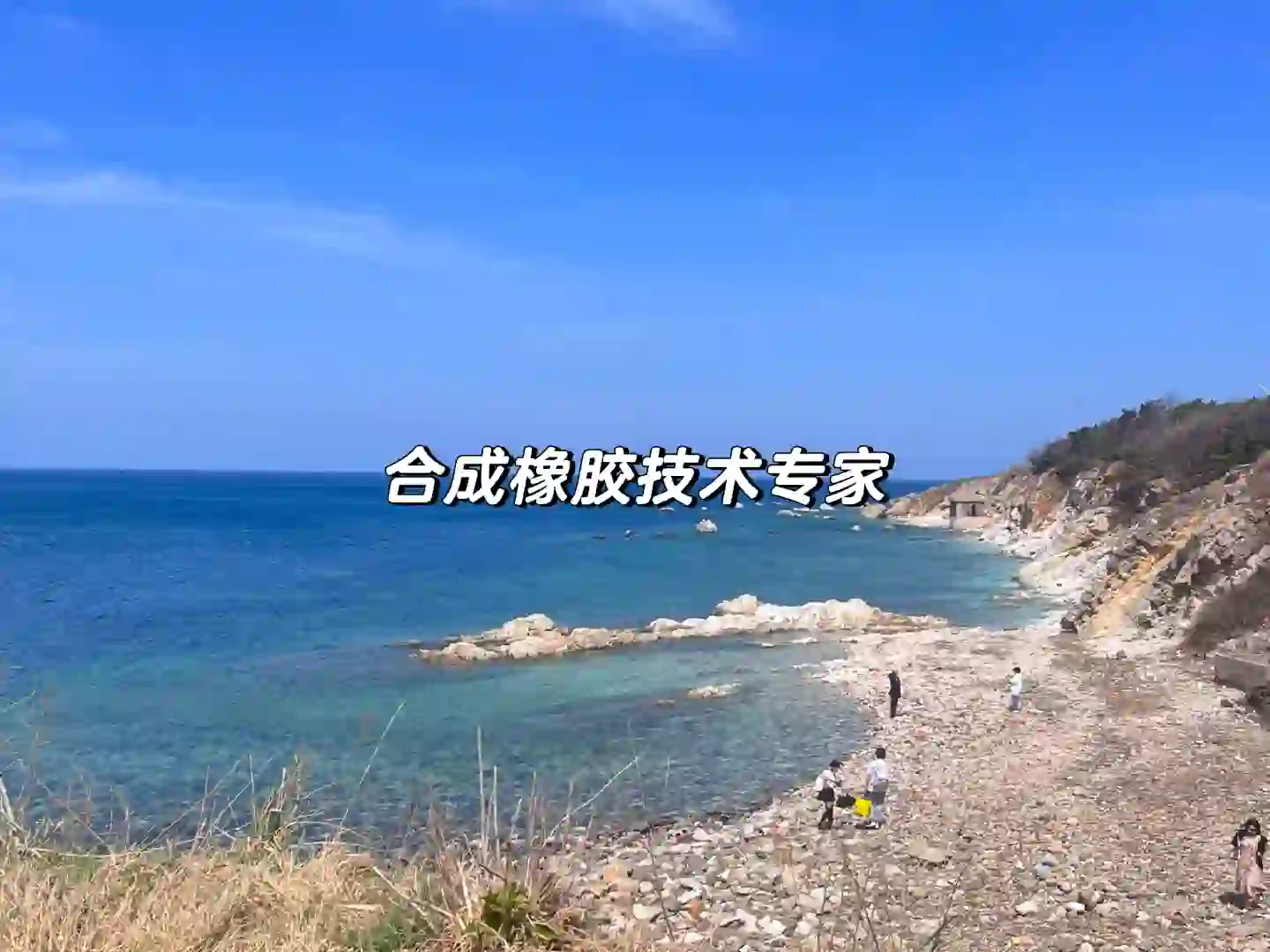 500强企业招 合成橡胶技术专家