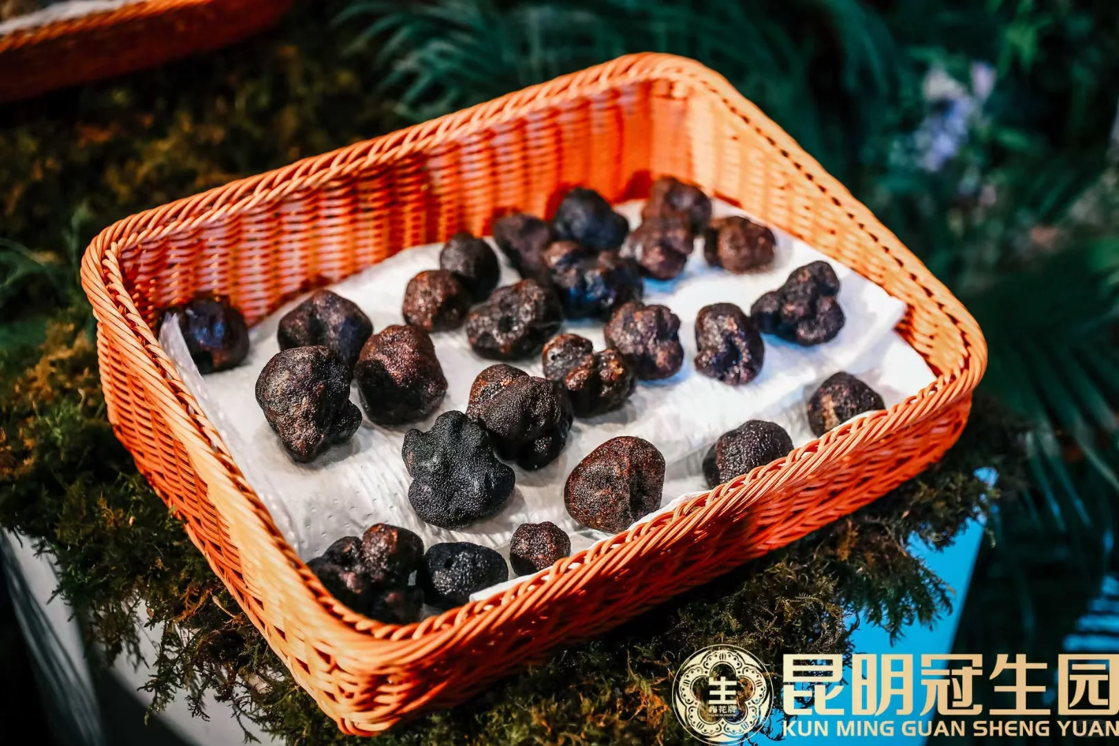 昆明冠生园招聘销售啦