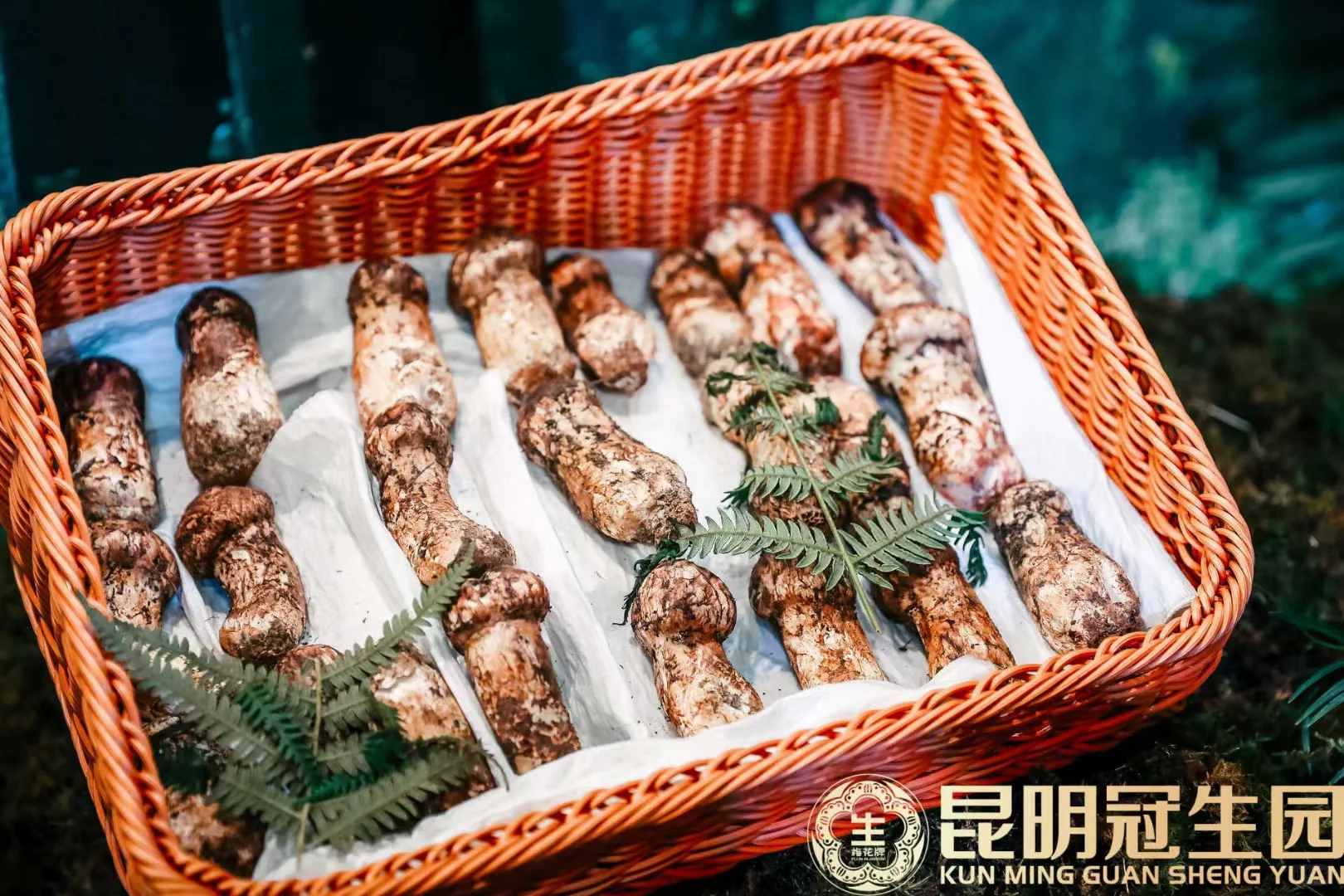 昆明冠生园招聘销售啦