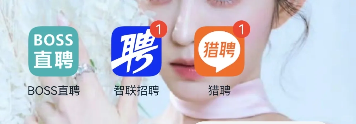 已找到工作 用不着你们（招聘app）了