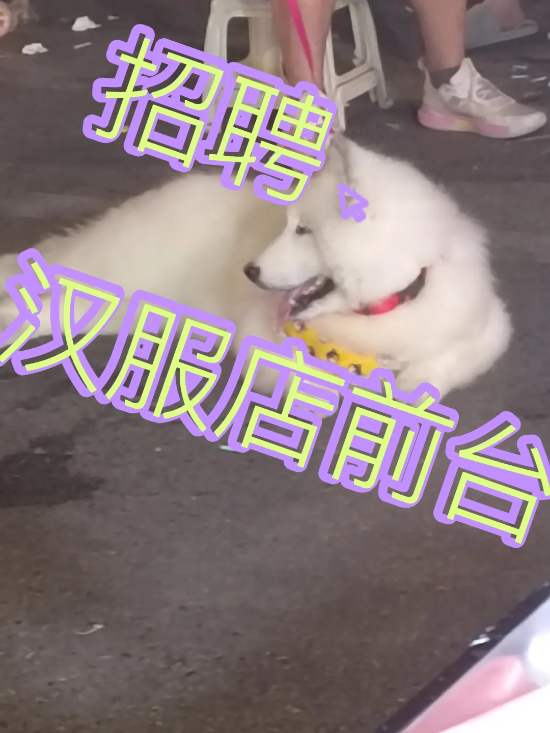 无责4000还没有人来嘛，招聘汉服前台