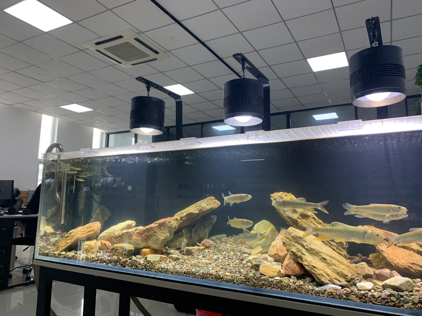 老板亲自招聘！！