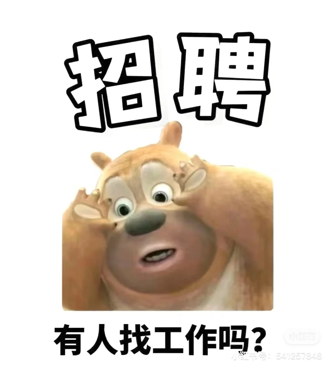 招2名可爱的前台小姐姐不加班