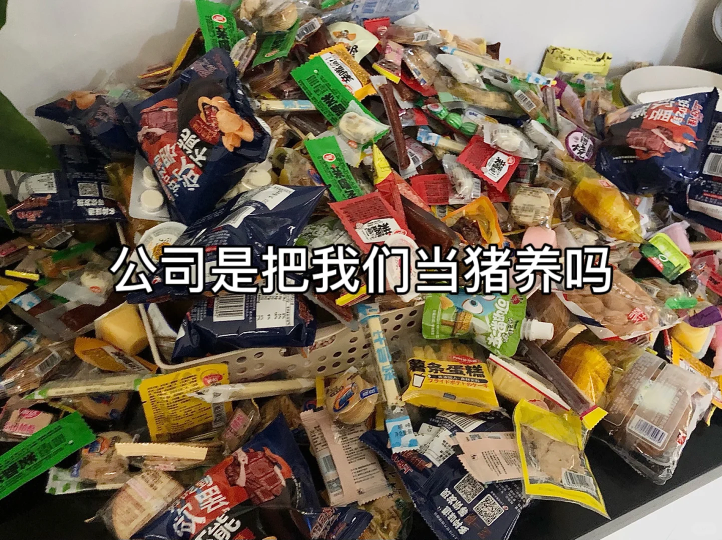 公司啥条件 入职发电脑/品牌部业绩指标👈🏻