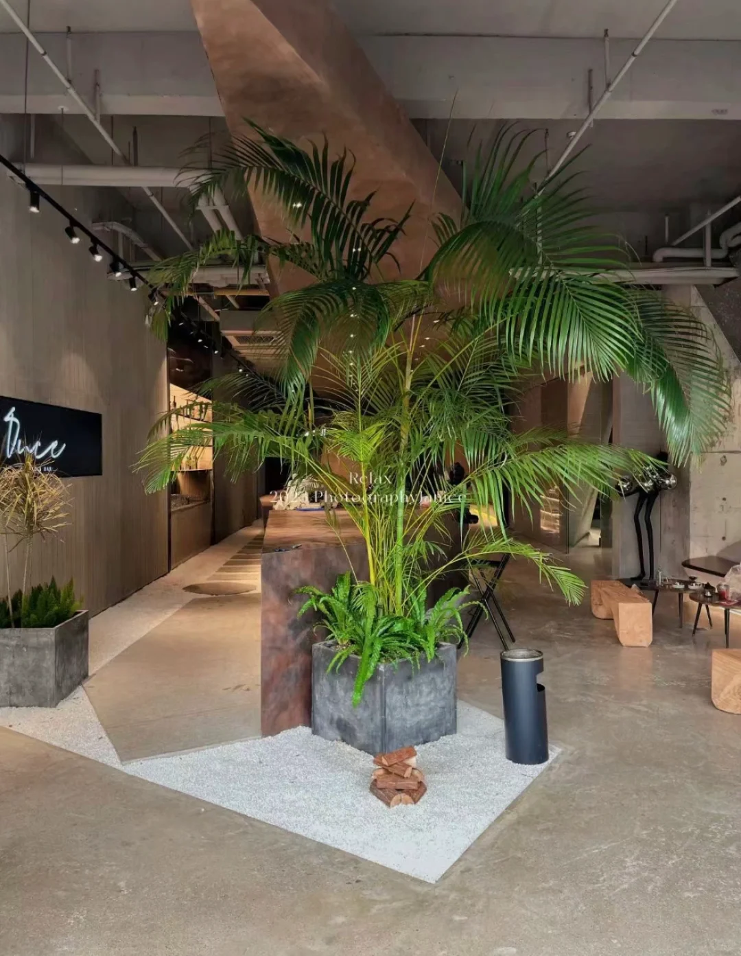 神仙公司 上班可撸猫不打卡，五象招人