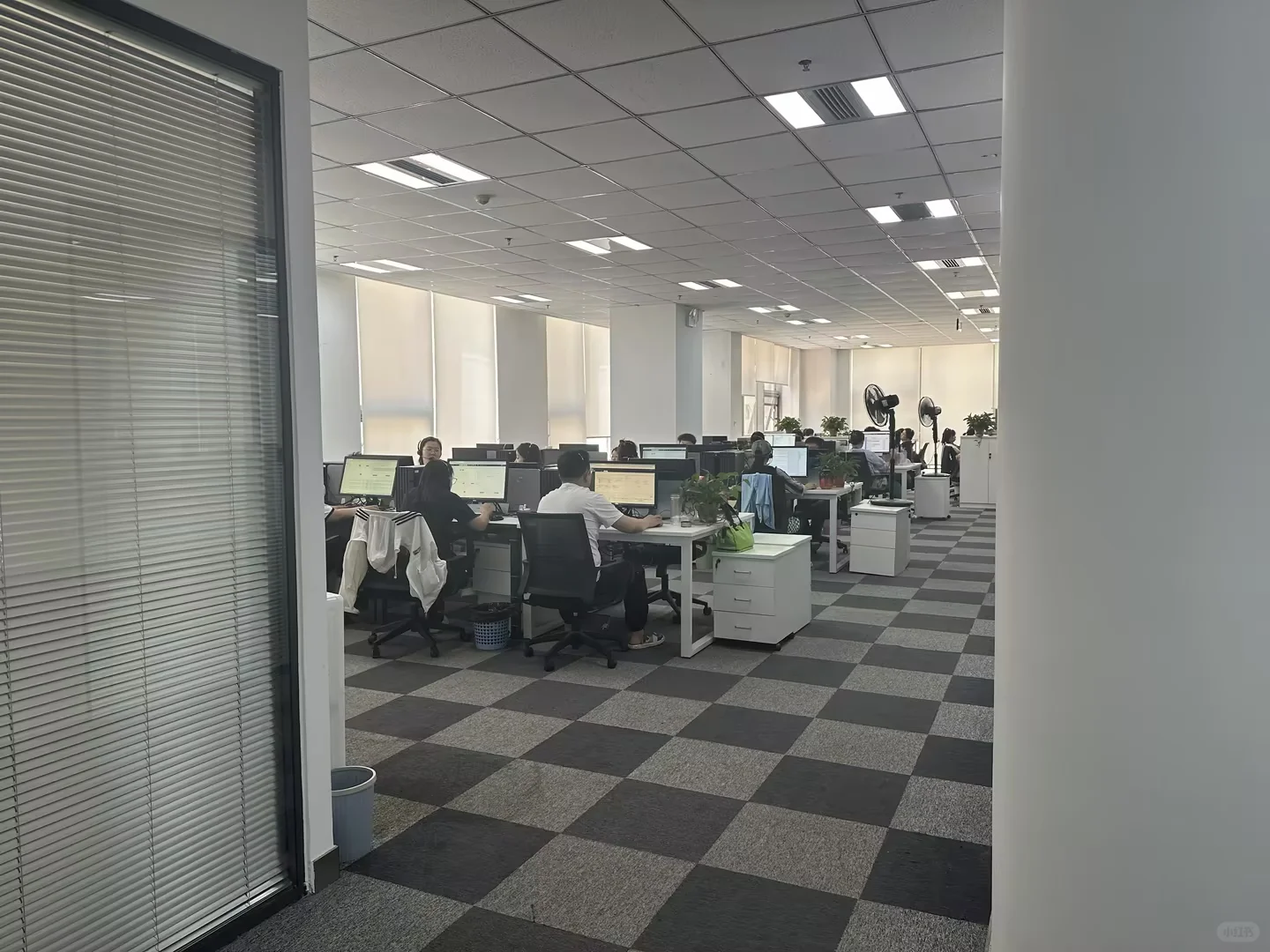 招人啦新开职场缺人呢！