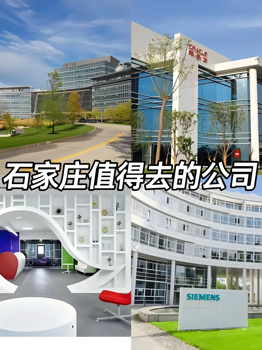 石家庄神仙公司✨氛围好 福利好 跳槽大胆冲✅