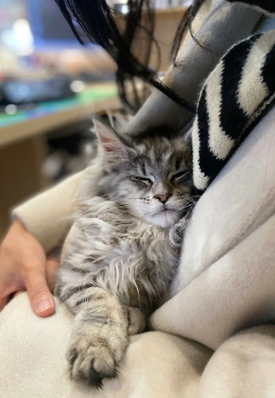 神仙公司 上班可撸猫不打卡，五象招人