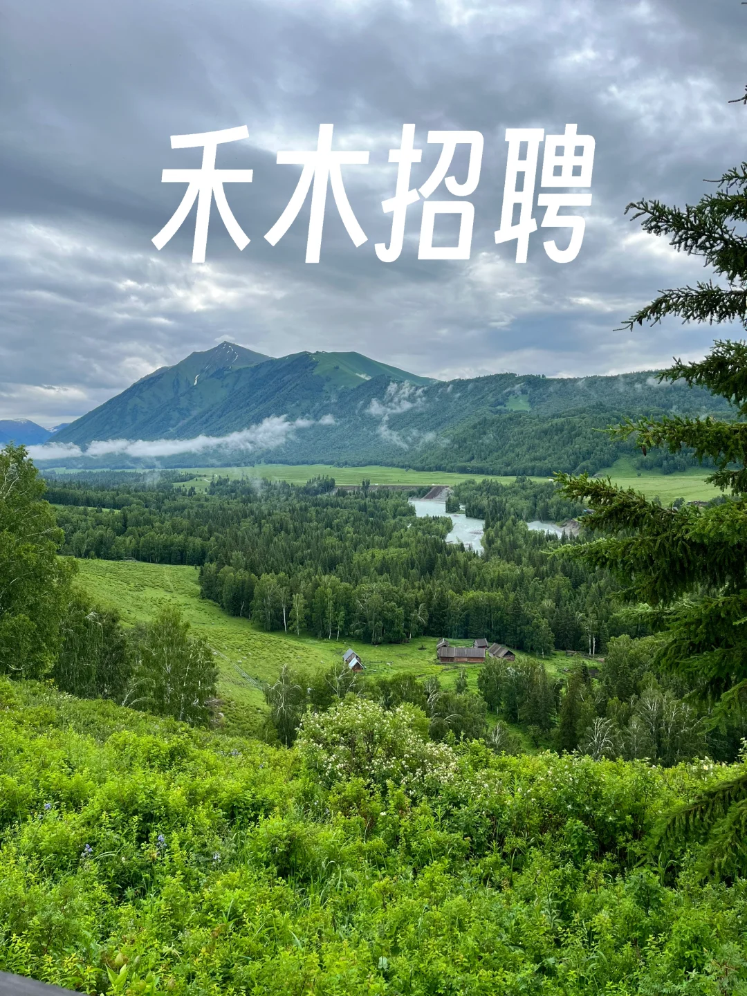 阿勒泰禾木景区招聘