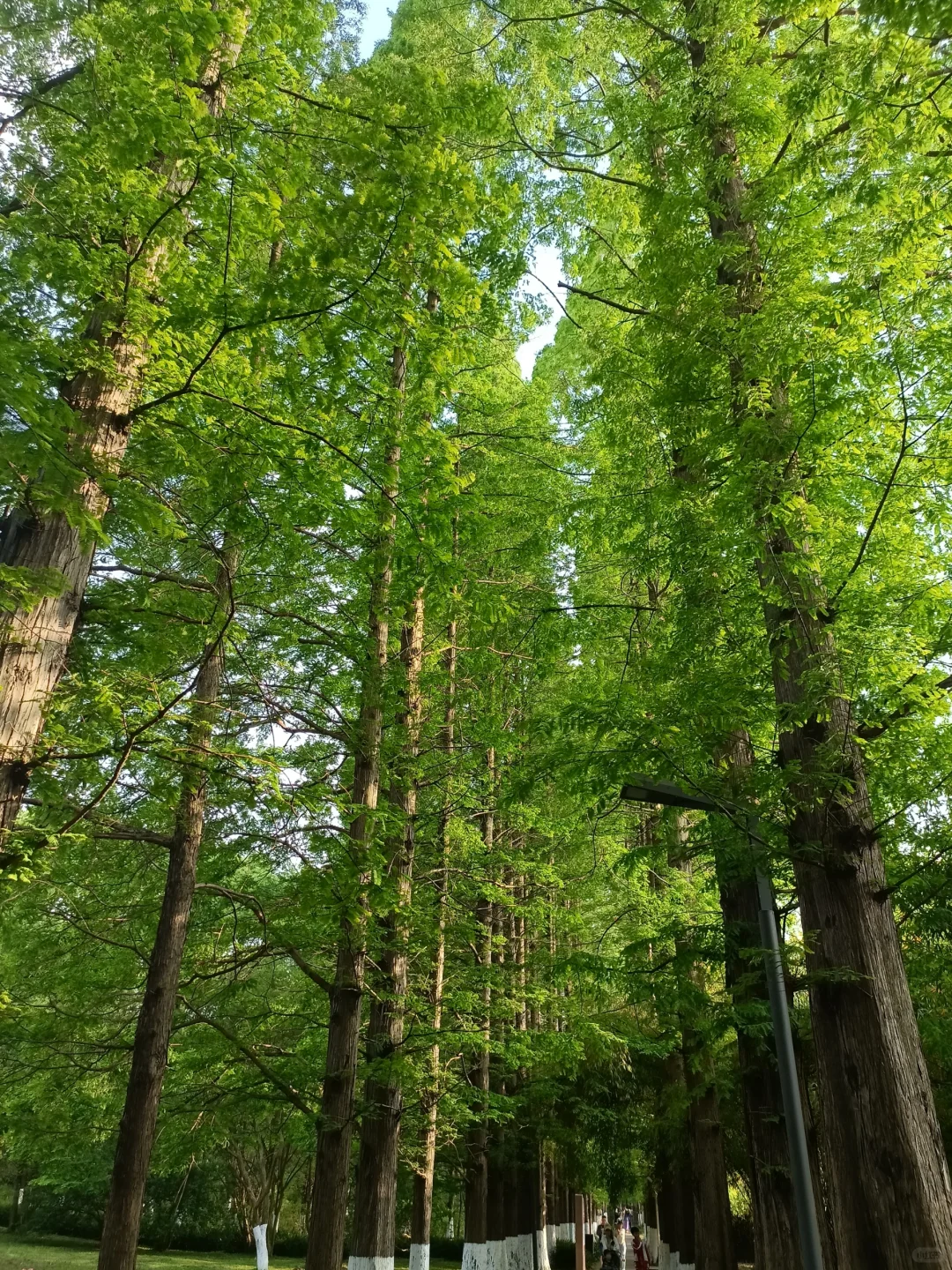 招聘招聘，月休15天，包吃住!