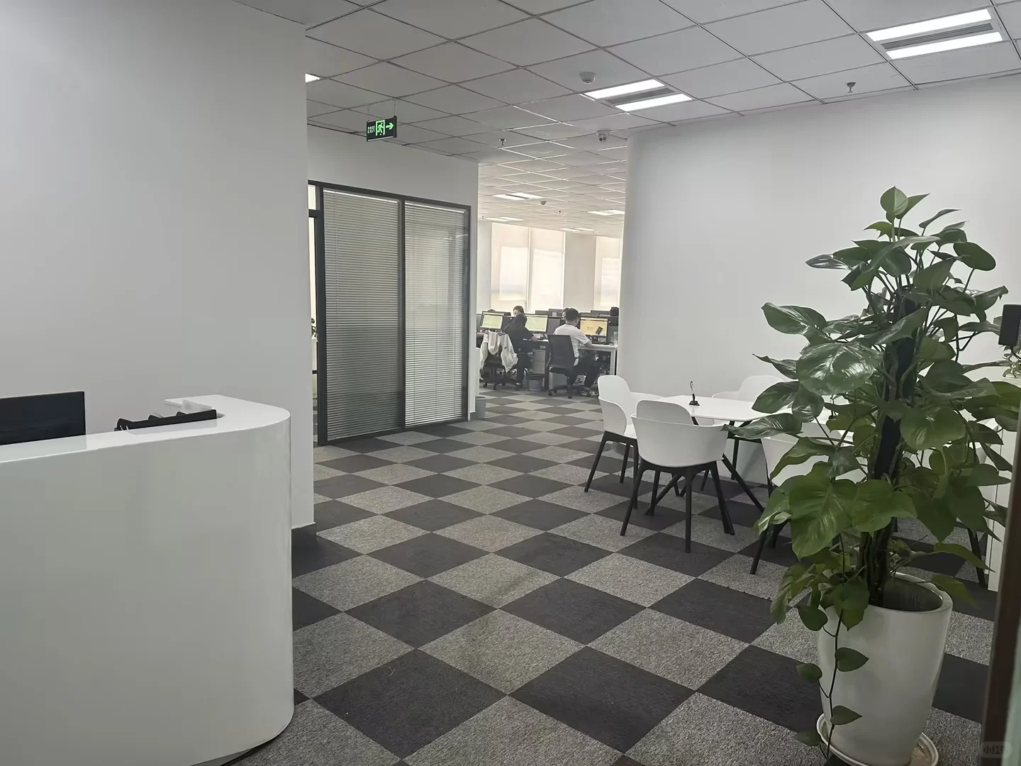 招人啦新开职场缺人呢！