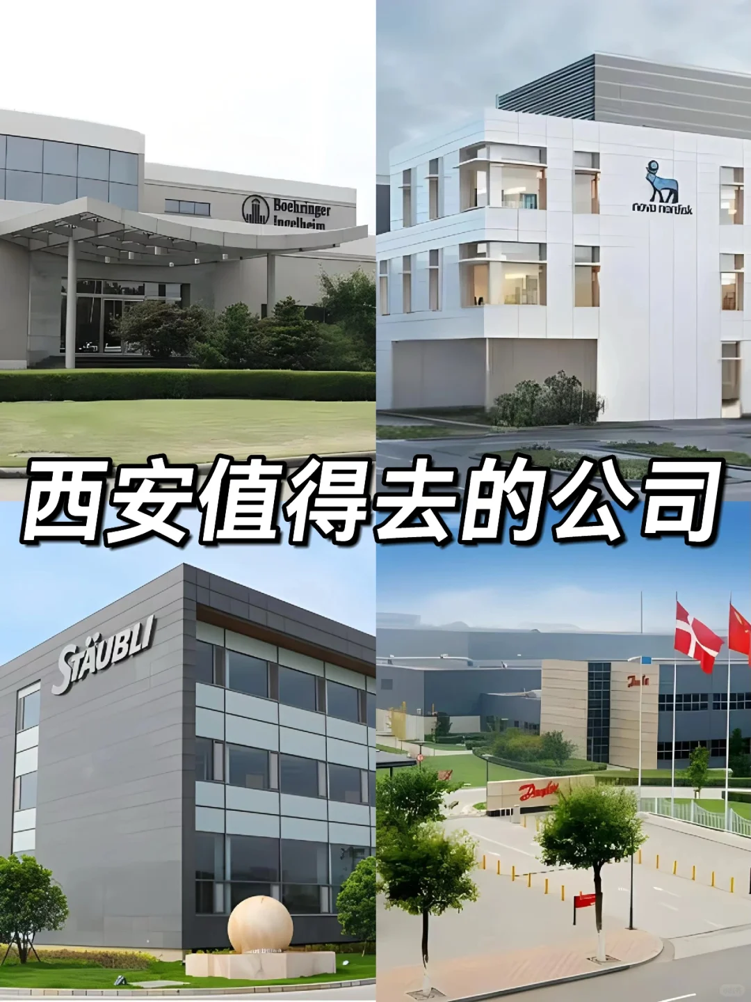 西安神仙公司✨女性友好 氛围好 跳槽大胆冲✅