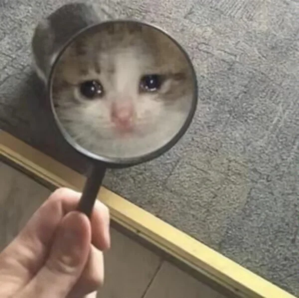 他们只需要在招聘岗位上把那个名称定成文员