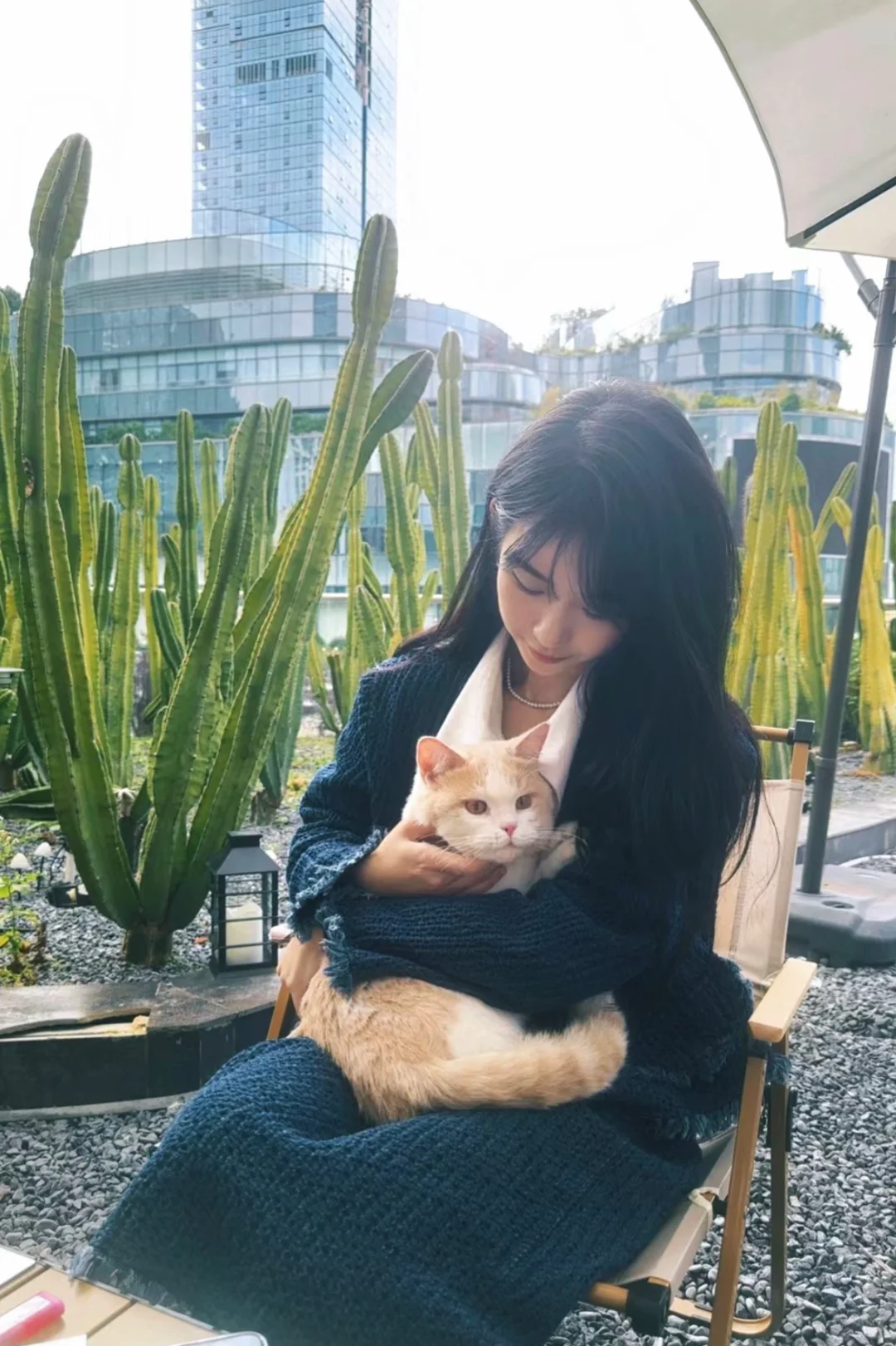 神仙公司 上班可撸猫不打卡，五象招人