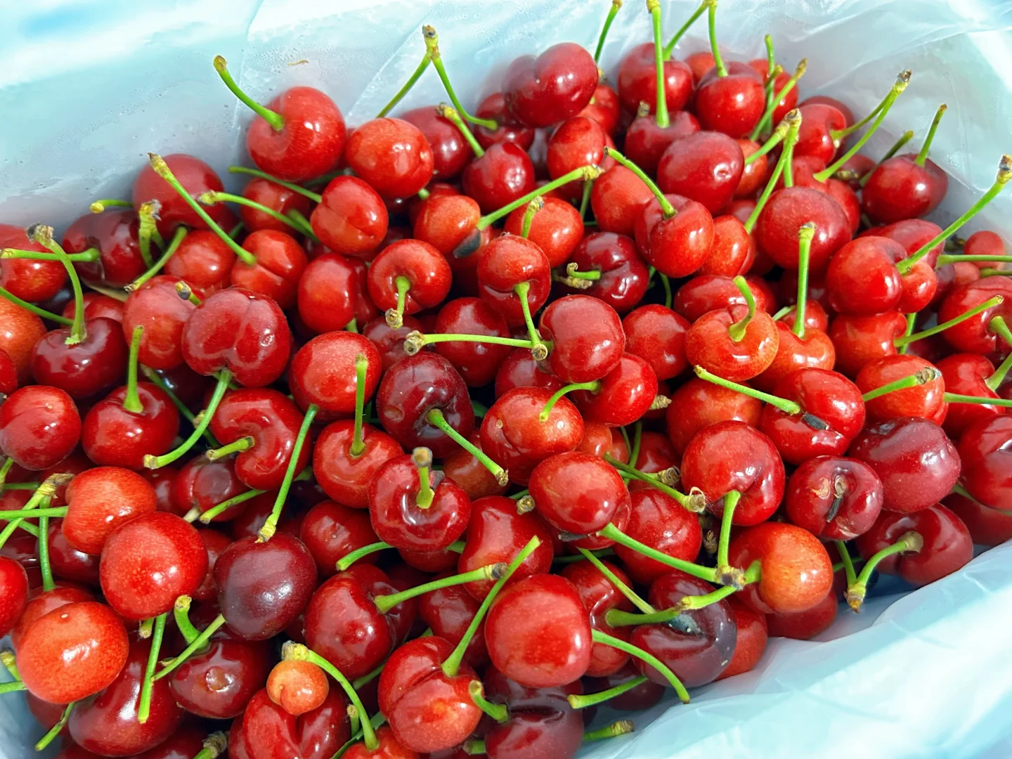 底薪五千+高提成月休6-7天网销岗位太香了吧