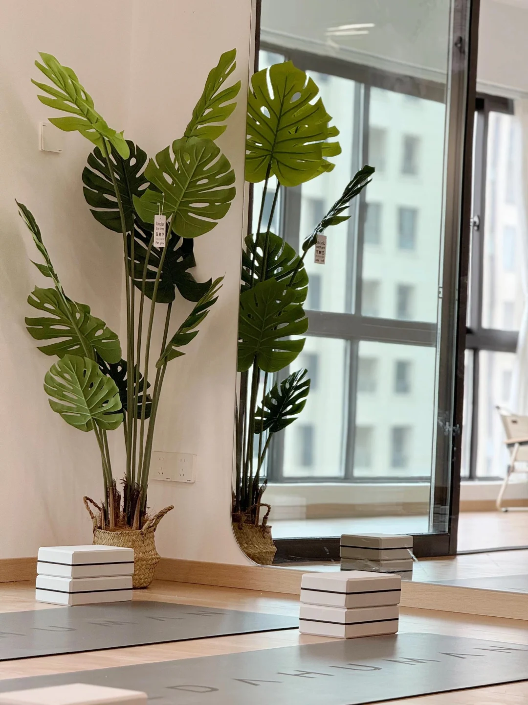 M&Y  招聘 普拉提教练