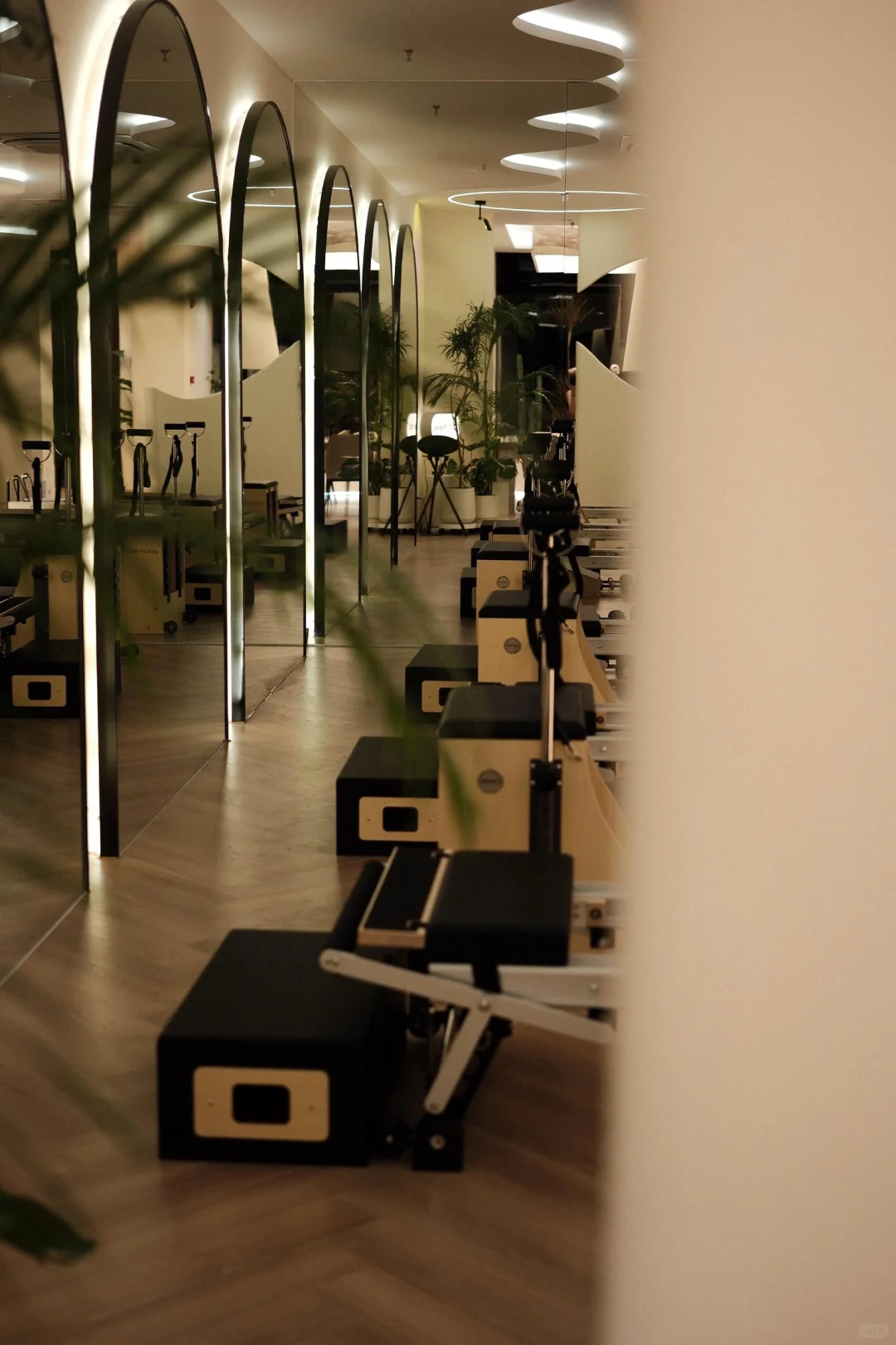 M&Y  招聘 普拉提教练