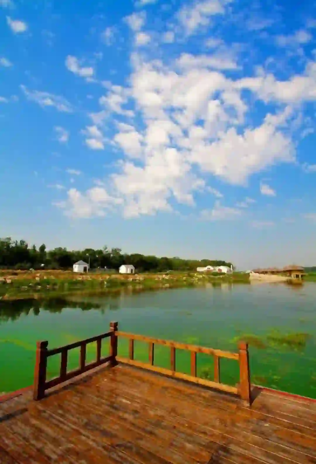 中车山东风电有限公司招聘:项目管理、技术工