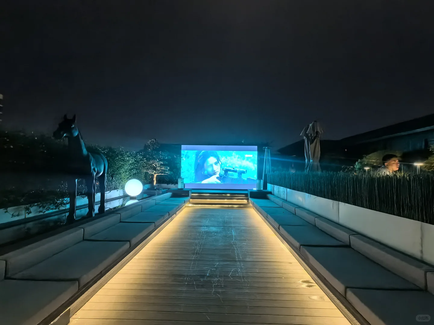 优质传媒公司招才艺主播啦🔥🔥🔥