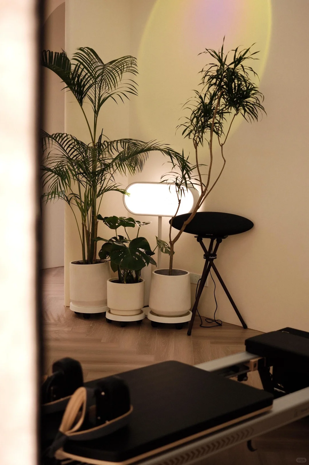 M&Y  招聘 普拉提教练