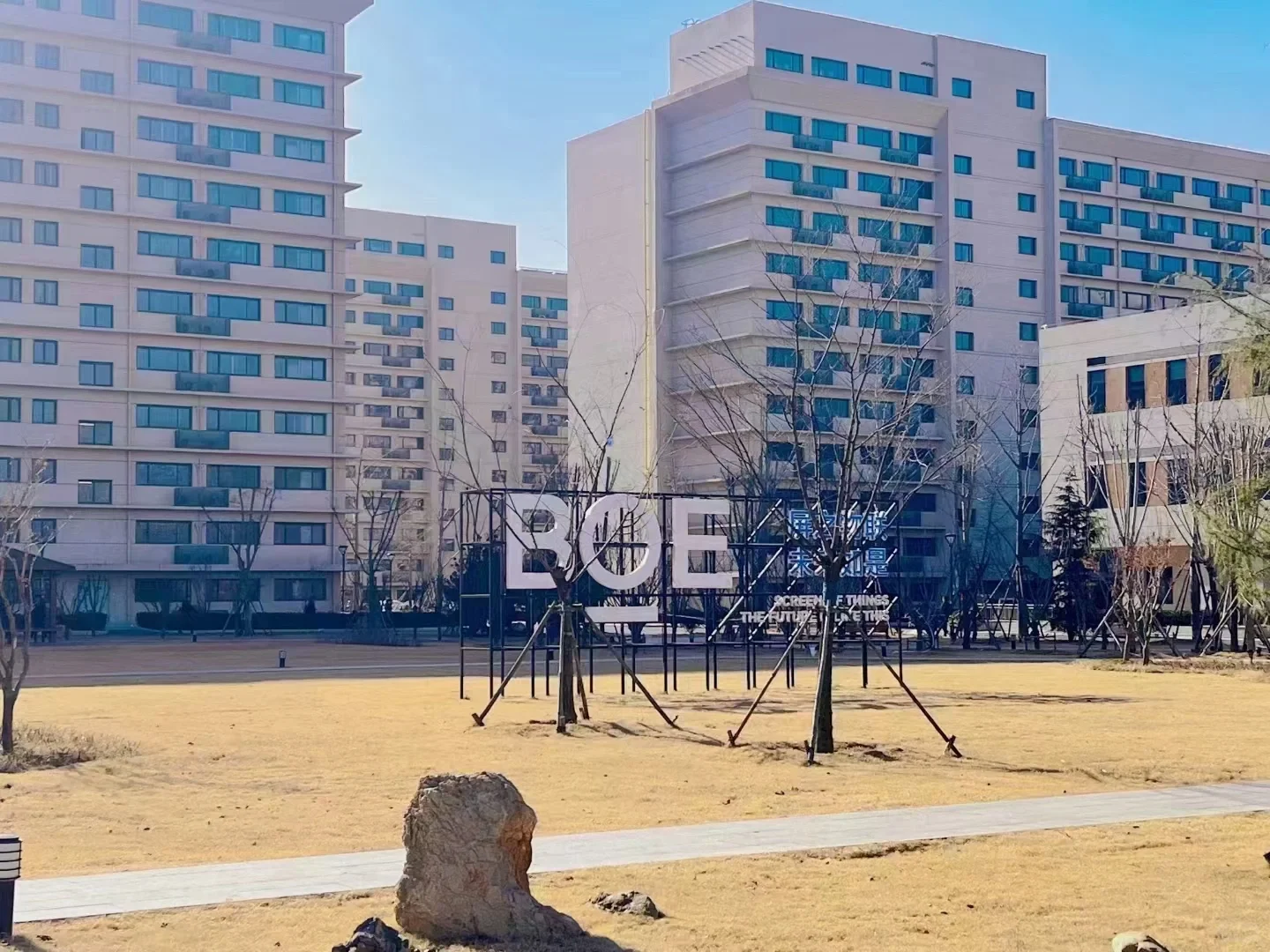 通知：京东方招聘