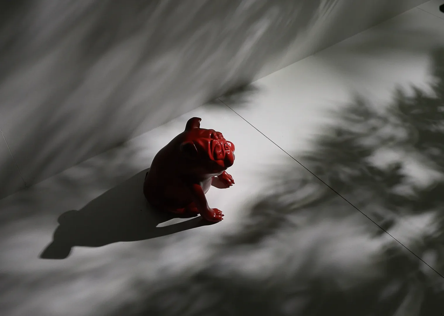 桂林市装修公司/工作室招助理现状