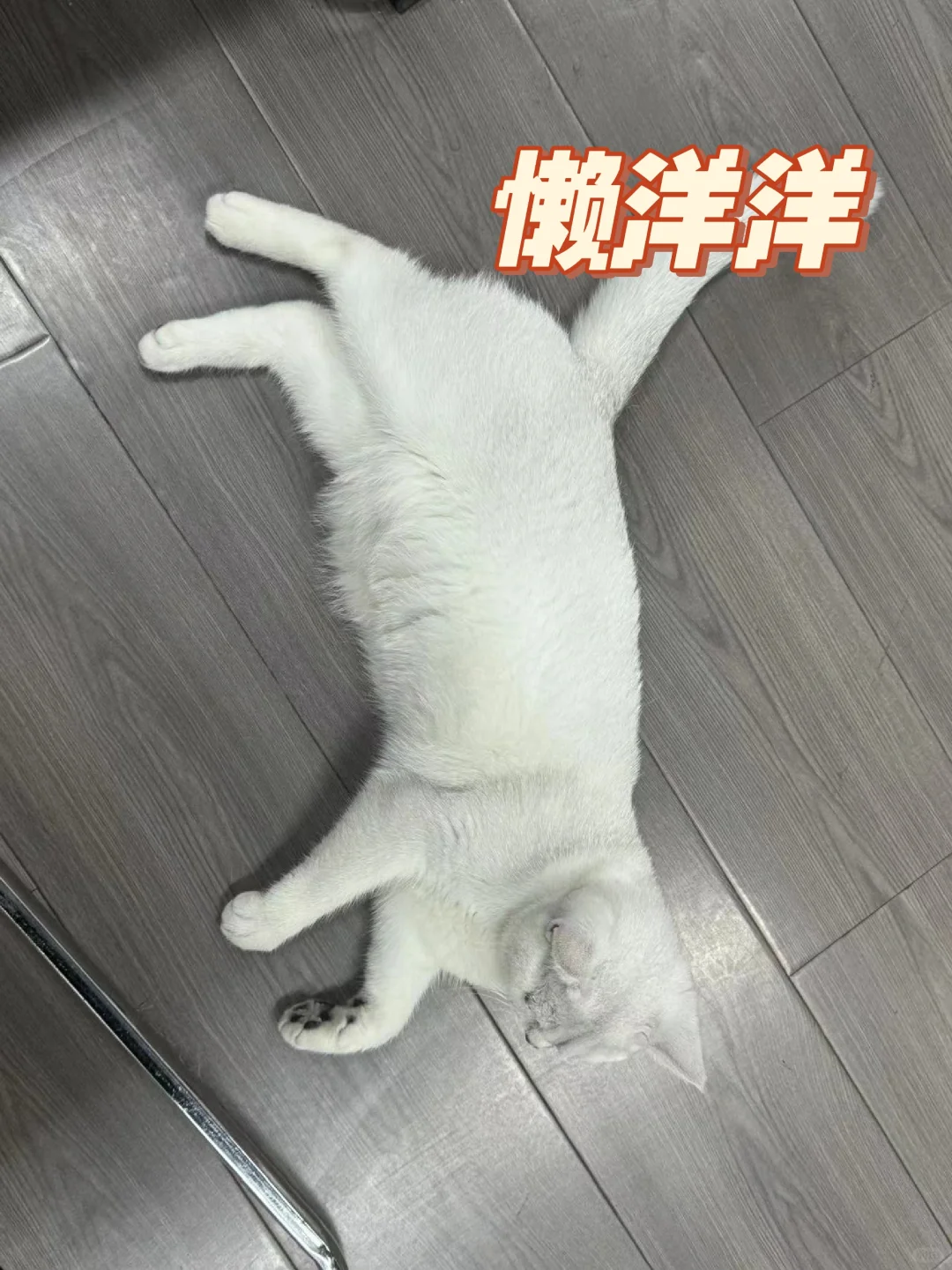 新媒体公司！进！