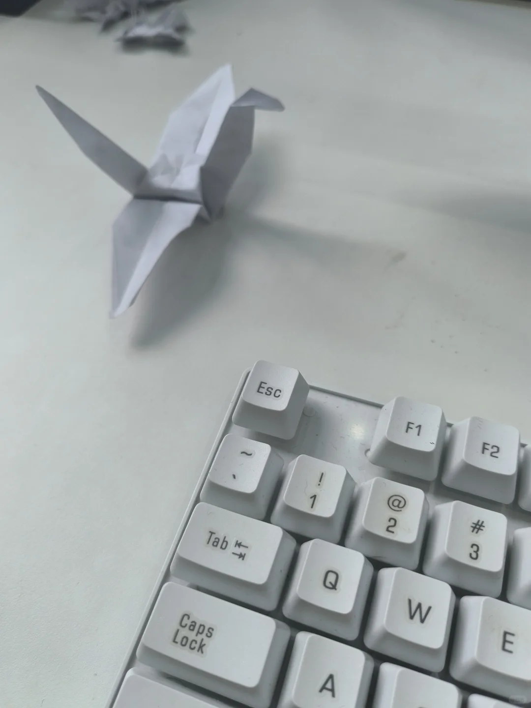 公司差人得很啊，急招司机