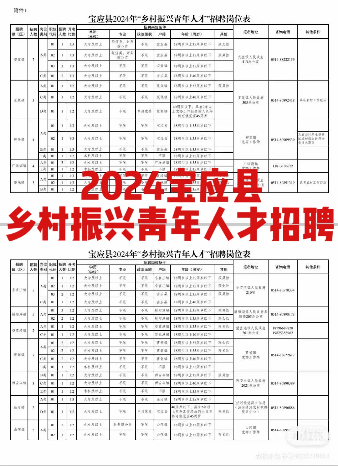 24宝应县乡村振兴青年人才招聘