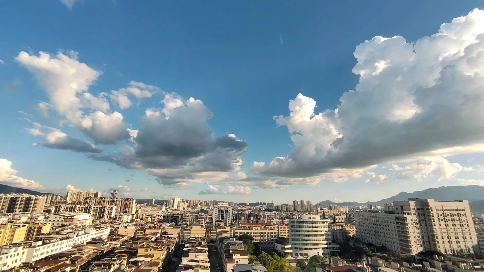 不限专业！紫金县公安局招聘警务辅助人员