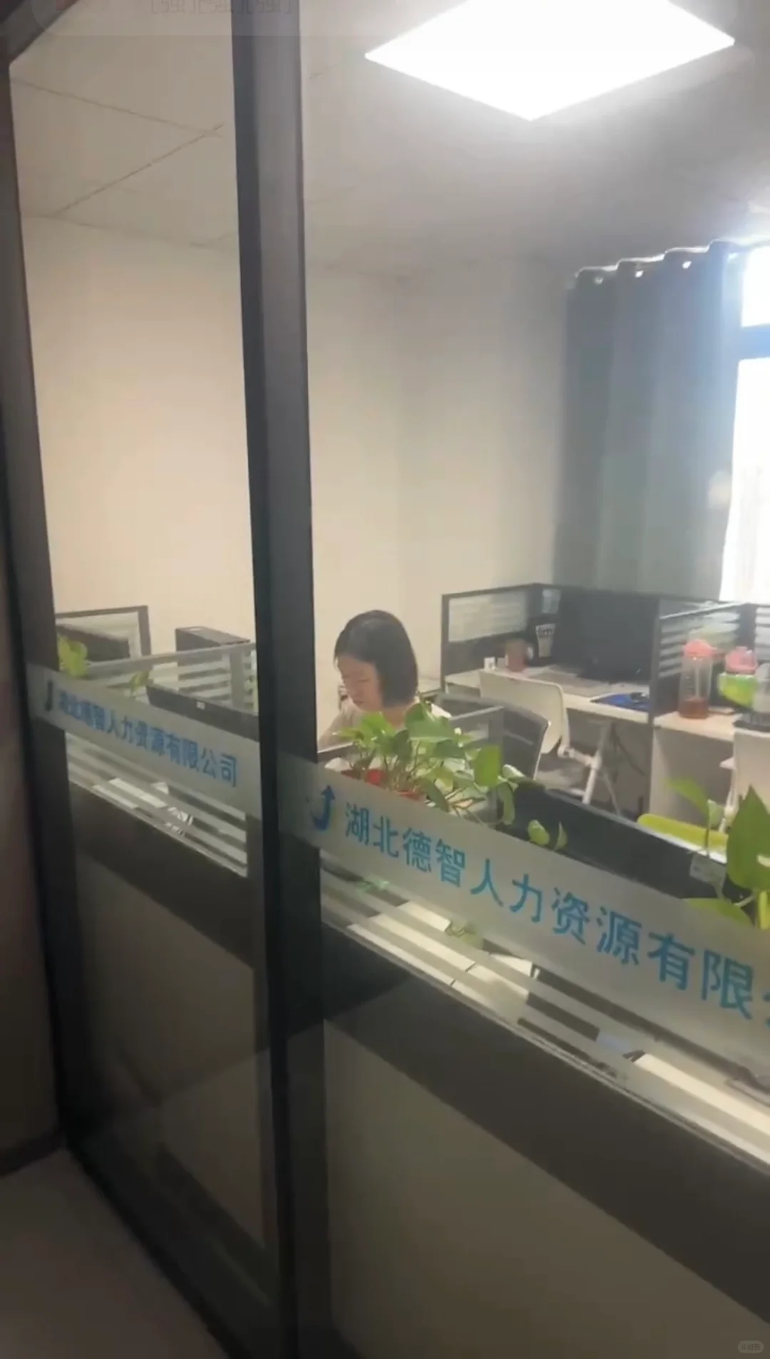 人力资源公司招聘