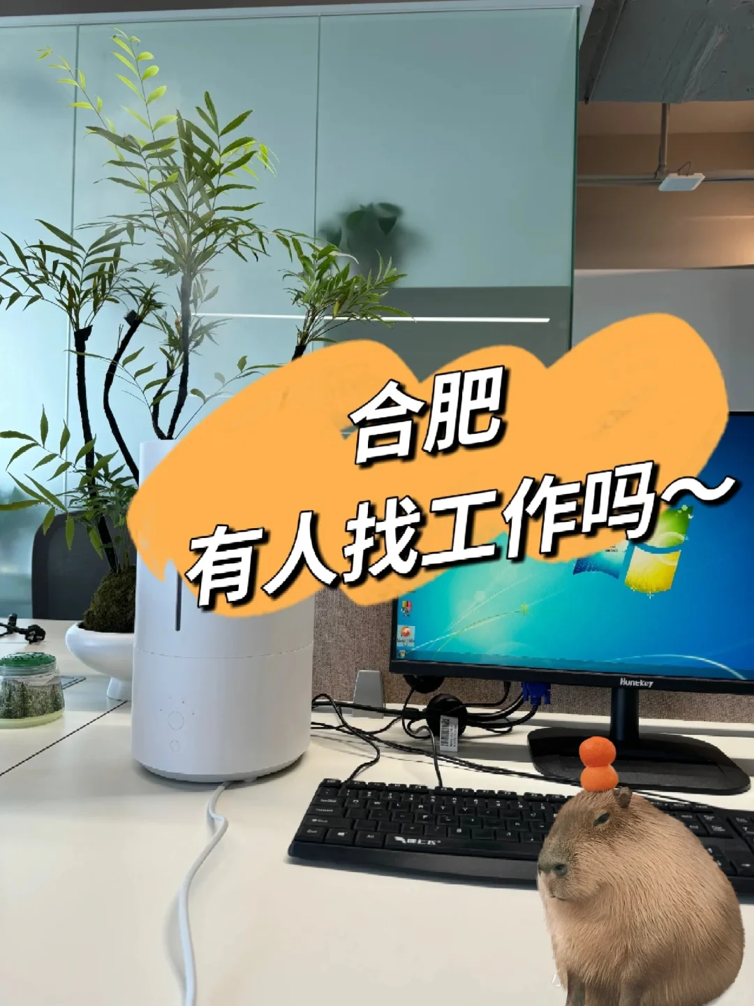 想找双休的工作看过来！！！