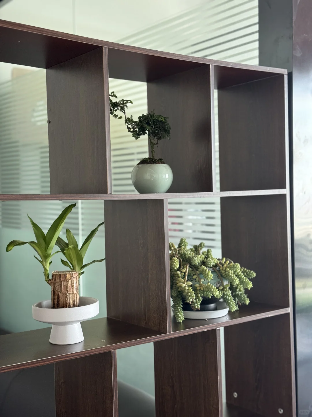 听说小红书很容易招人 南昌有找工作的吗