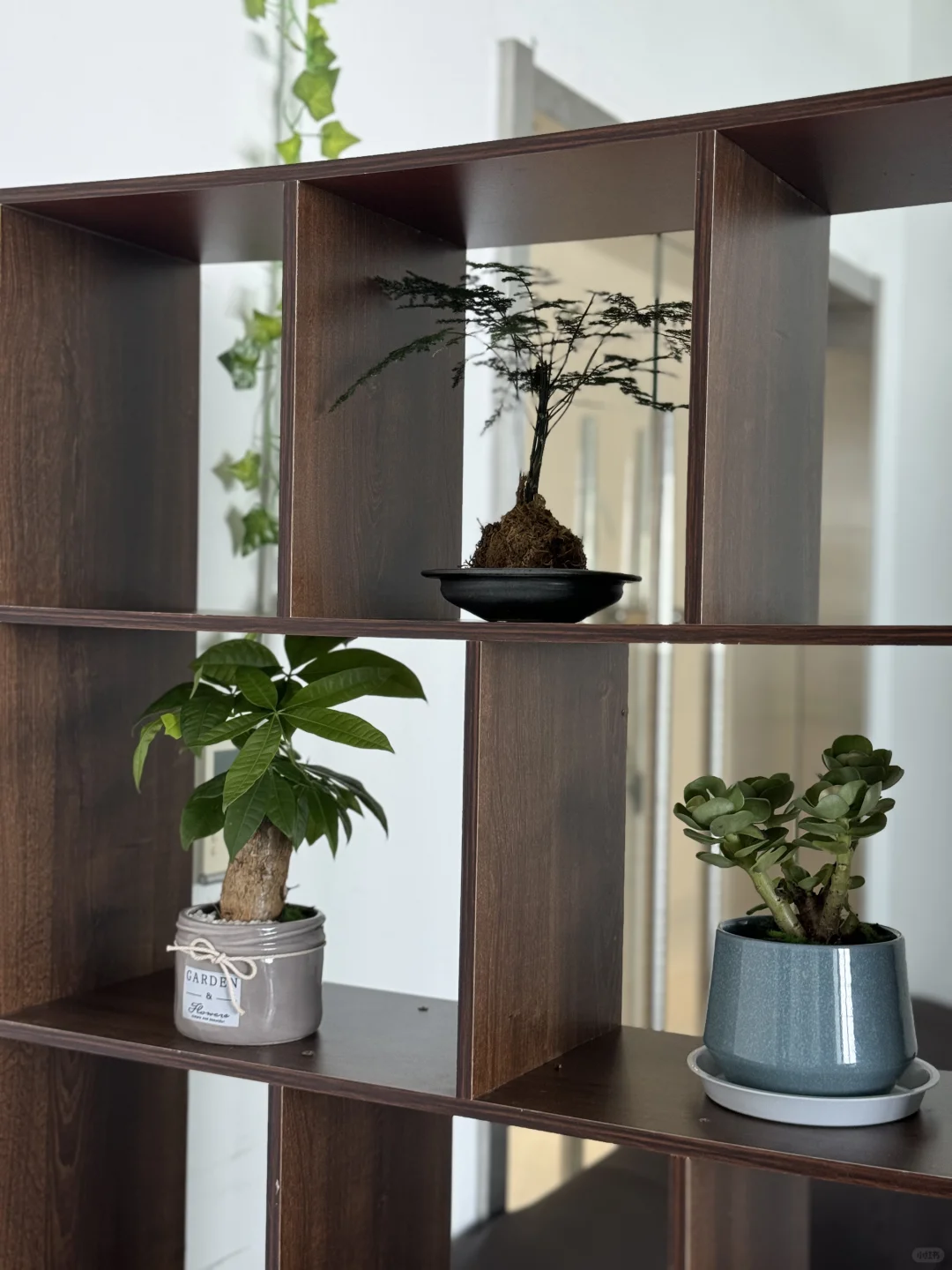 听说小红书很容易招人 南昌有找工作的吗