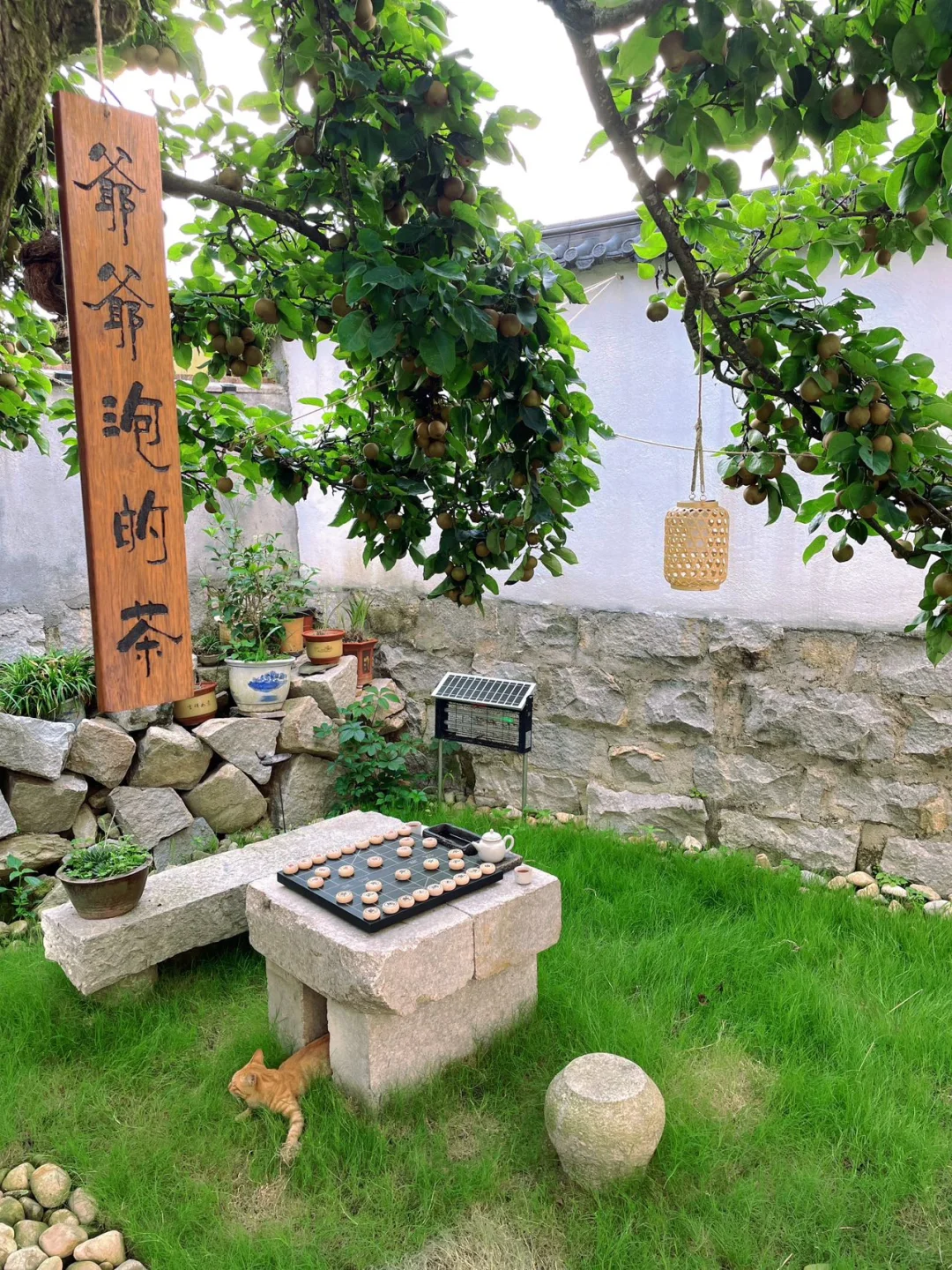 农家小院民宿招聘管家~近期能到岗位优先